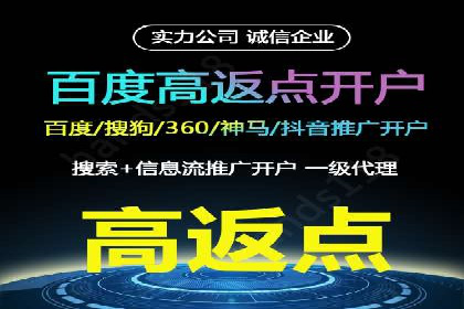 百度竞价广告成功案例集锦：如何玩转搜索引擎营销